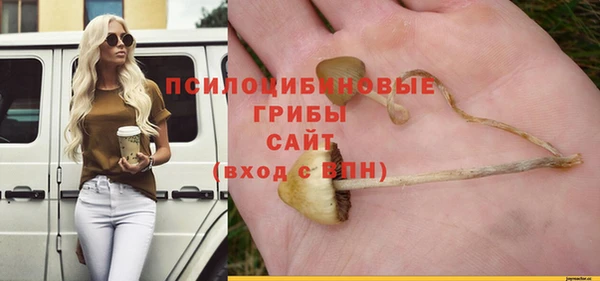 кристаллы Няндома