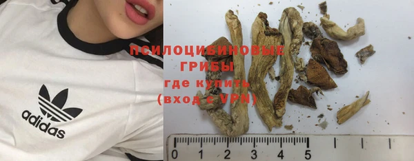 кристаллы Няндома