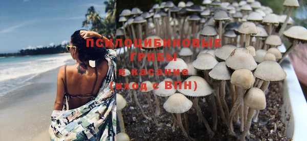 индика Воткинск