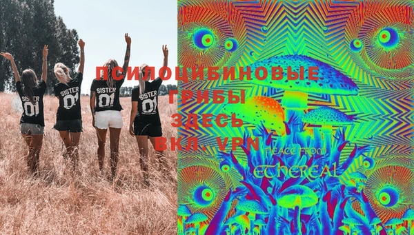 Альфа ПВП Нягань