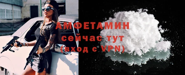 ECSTASY Пересвет